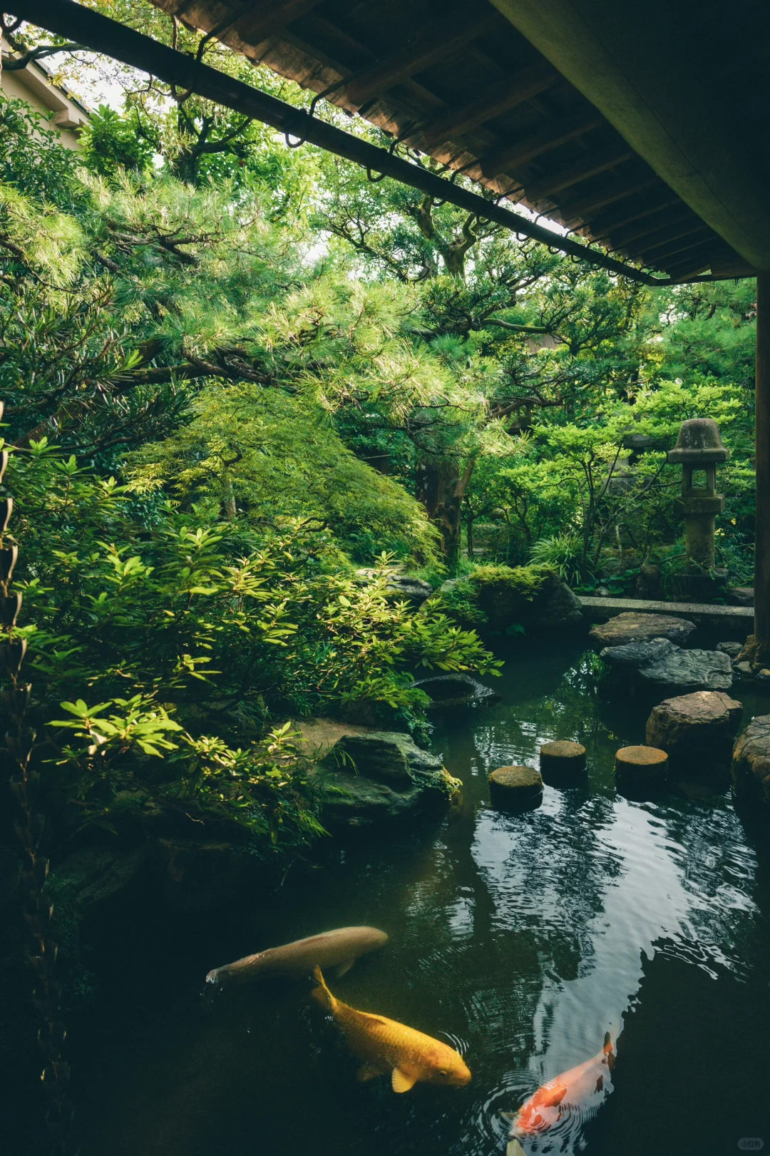 不输京都，金泽这个庭院🏡美的让我无法忘怀！