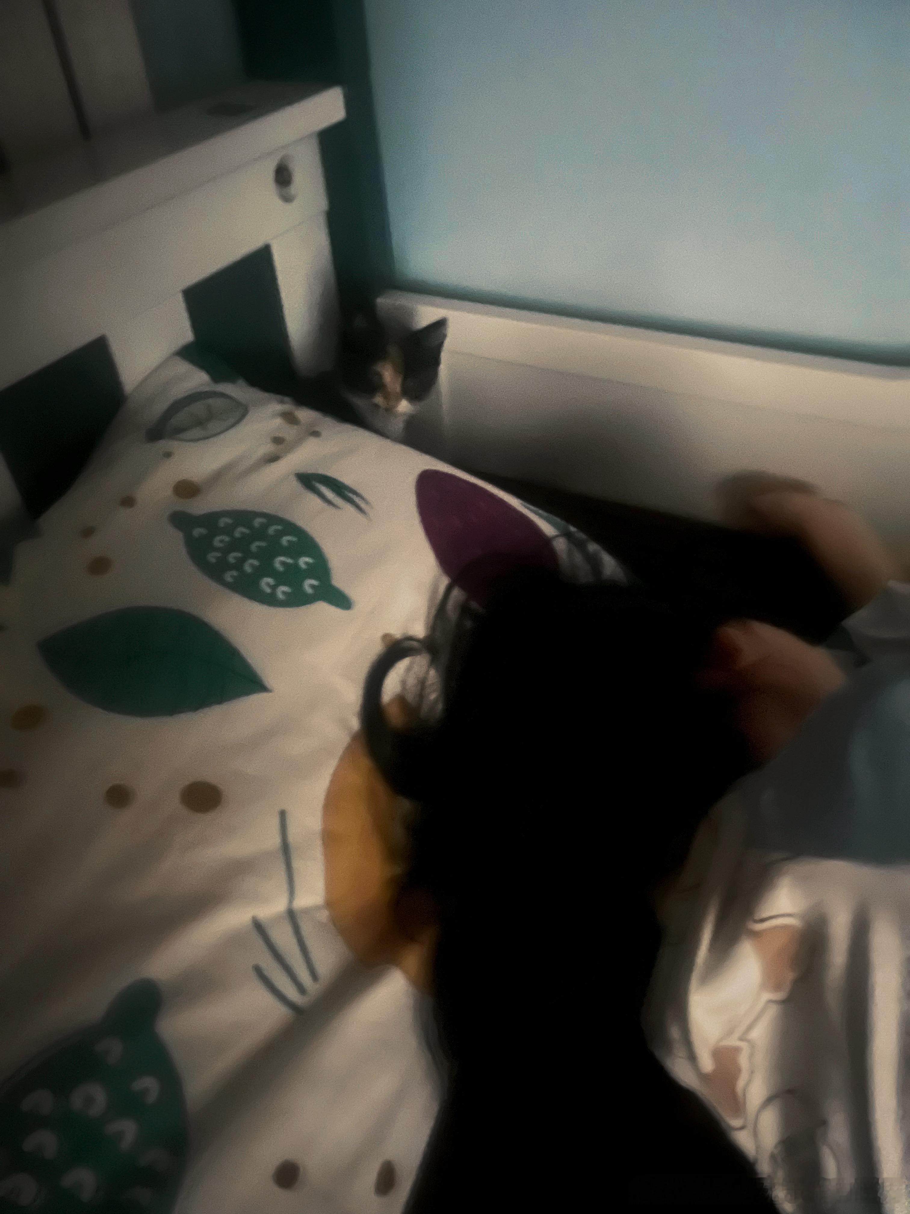 一推门看见娃有了睡觉搭子。 ​​​
