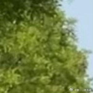公园小路还可以骑自行车哟，绝对是散步的好地方 