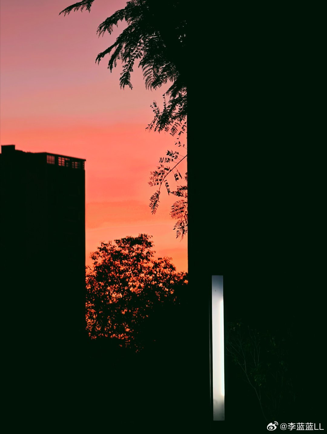 蓝大师出品！给取个高大上又有深意的名字吧？ 