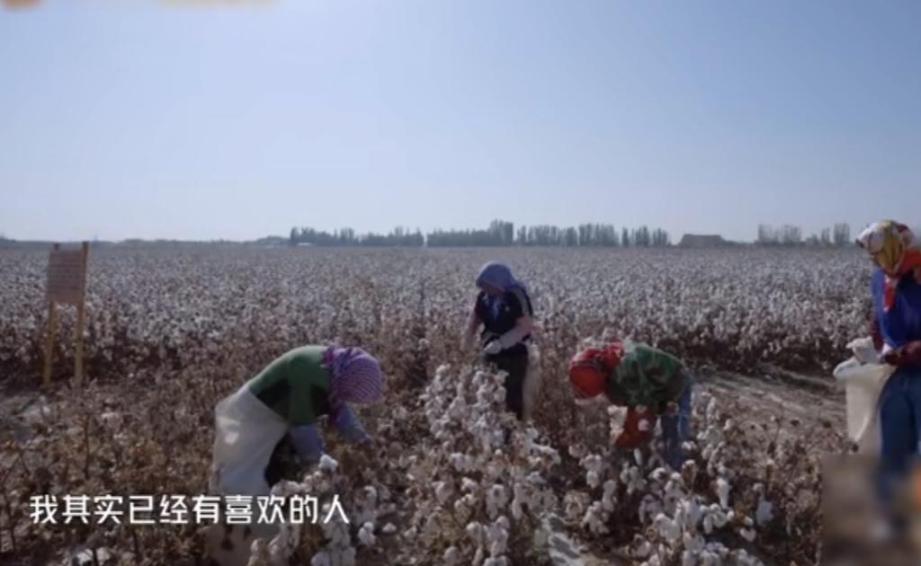 张智霖被新疆阿姨夸年轻才二十出头，阿姨还要给他介绍新疆姑娘，袁咏仪估计要怒吼了。