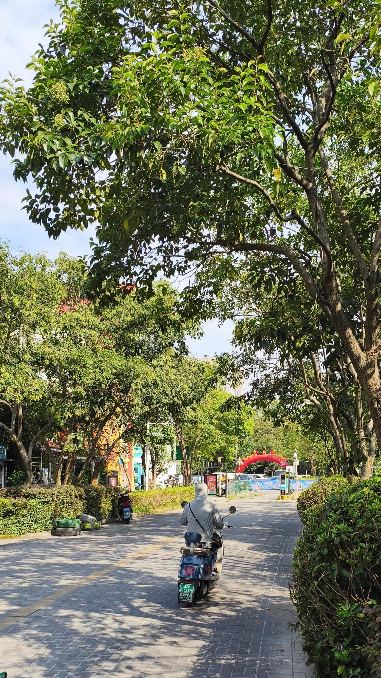 南京这天气真的有点“表里不一”啊。
今早拉开窗帘看着外面云淡风轻以为凉丝丝的，结