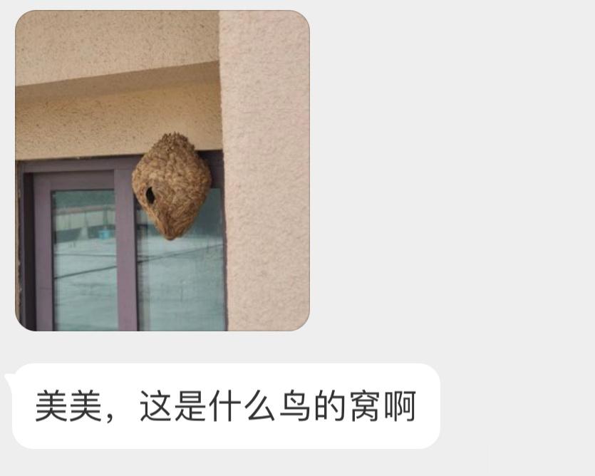 ？？？我寻思着这是 蜜蜂窝🐝 ​​​