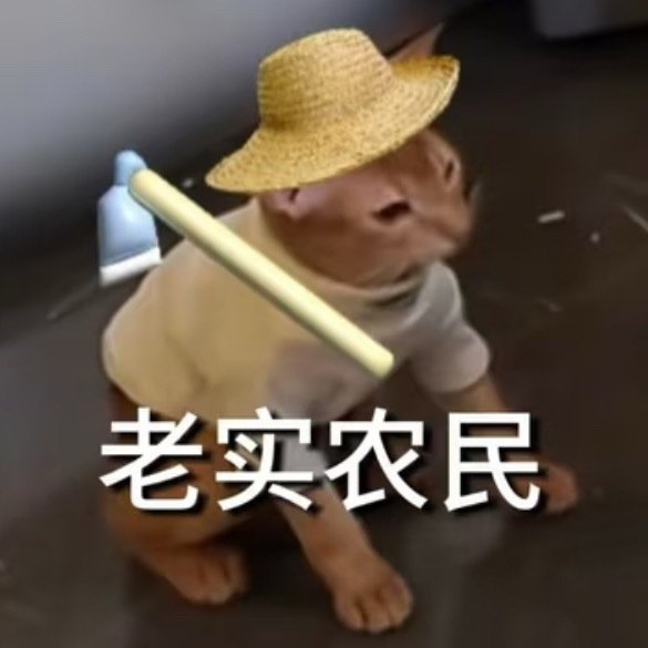 梓渝的猫上综艺了我们伊莱文站这么高了嘛，怎么不带大鱼玩啊嘻嘻嘻嘻 