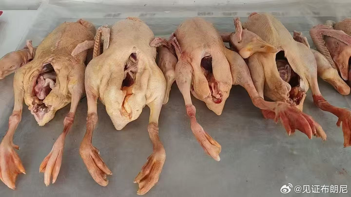 落雪似银河，铁锅炖大鹅。 