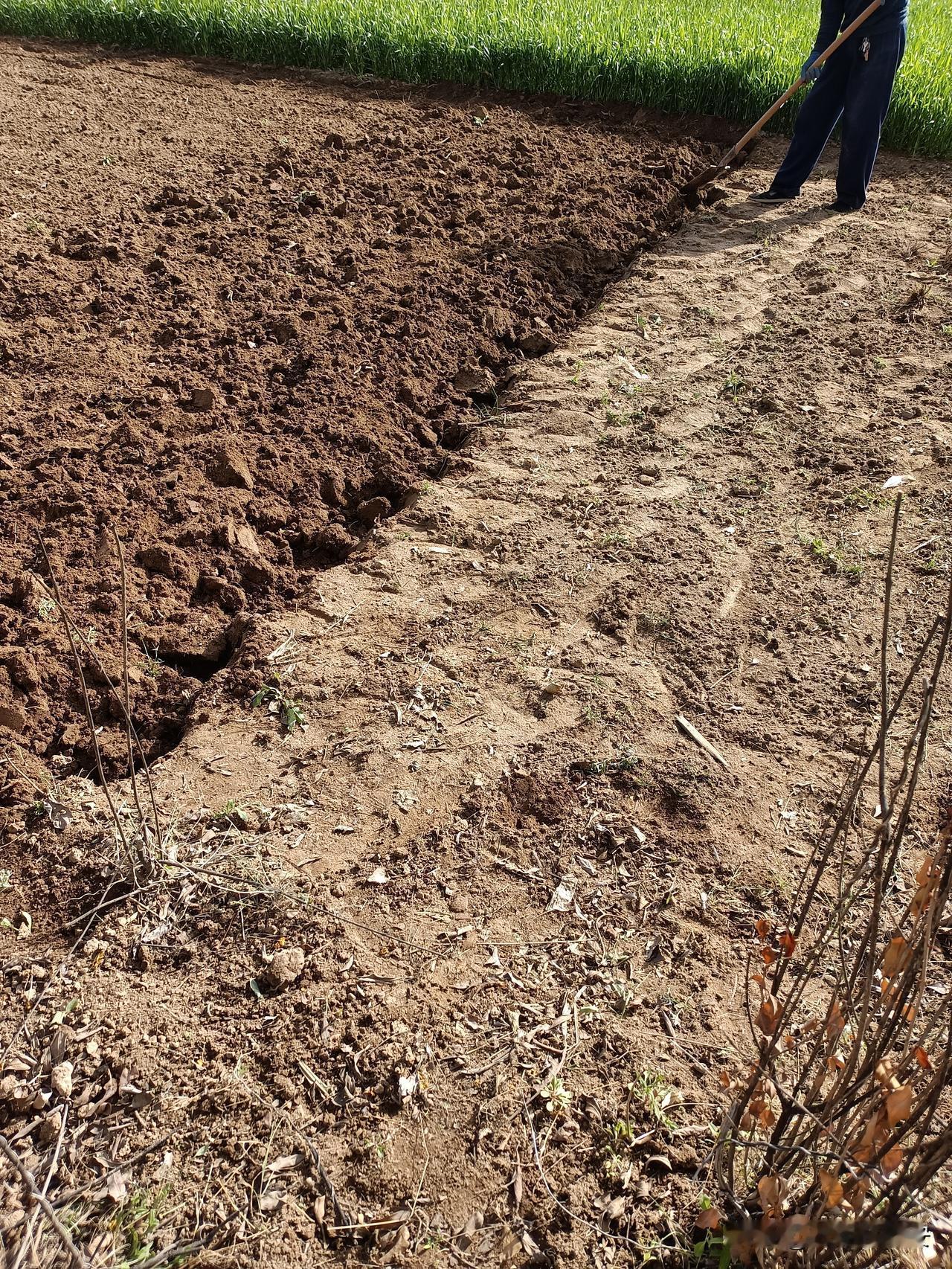 天一晴，农民婶婶就没时间刷手机了。跟随季节的节奏，必须下地干活，翻地，拾草根，为