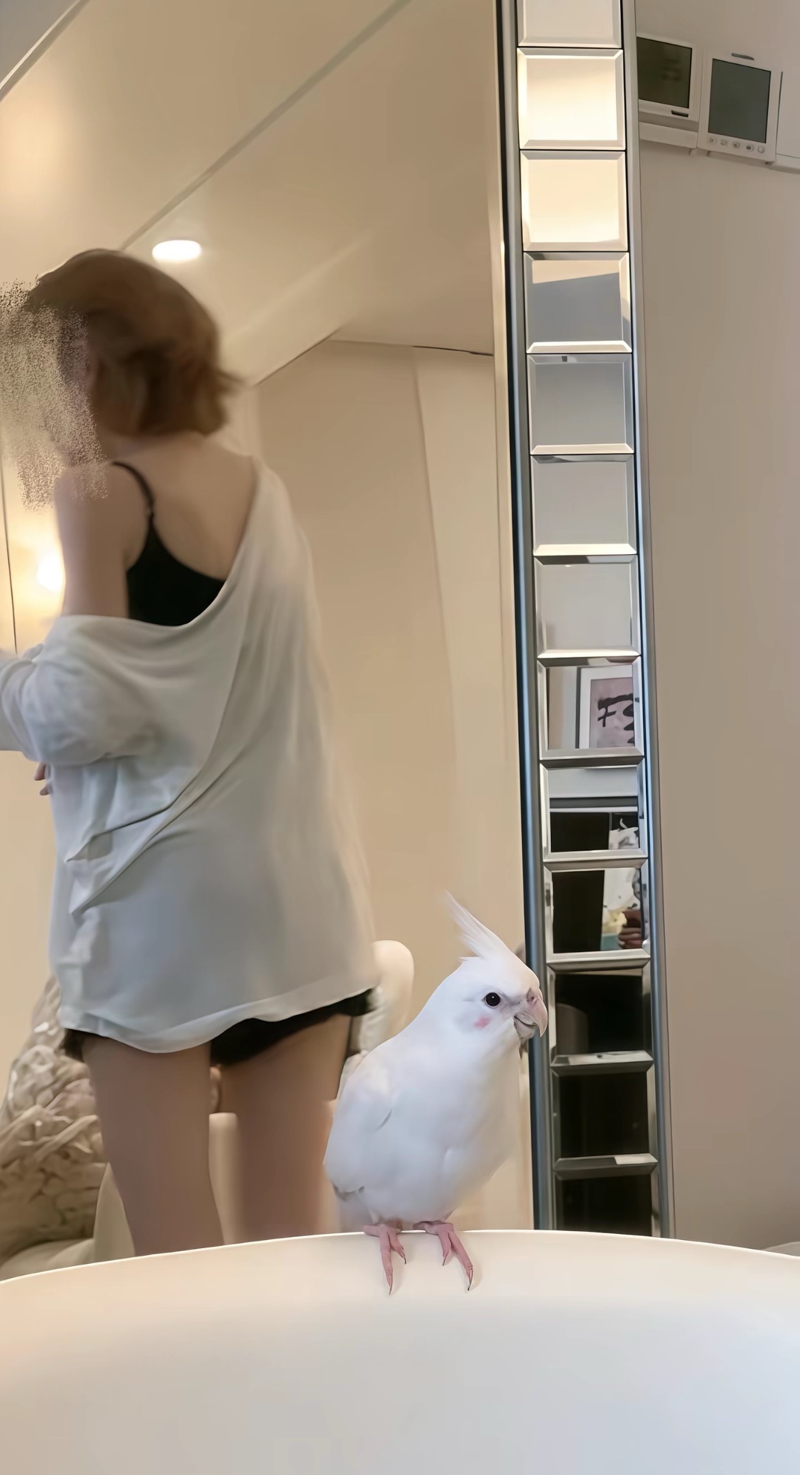 我一天不发烧就难受 ​​​
