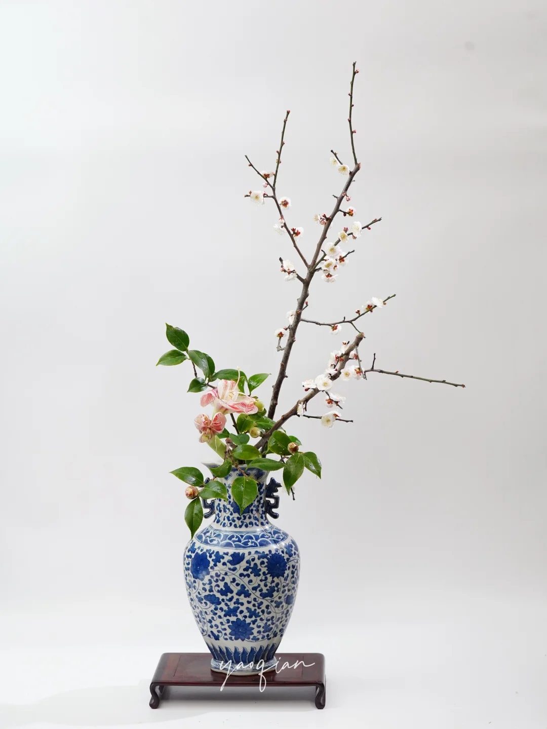 雪落大寒，静待春声。