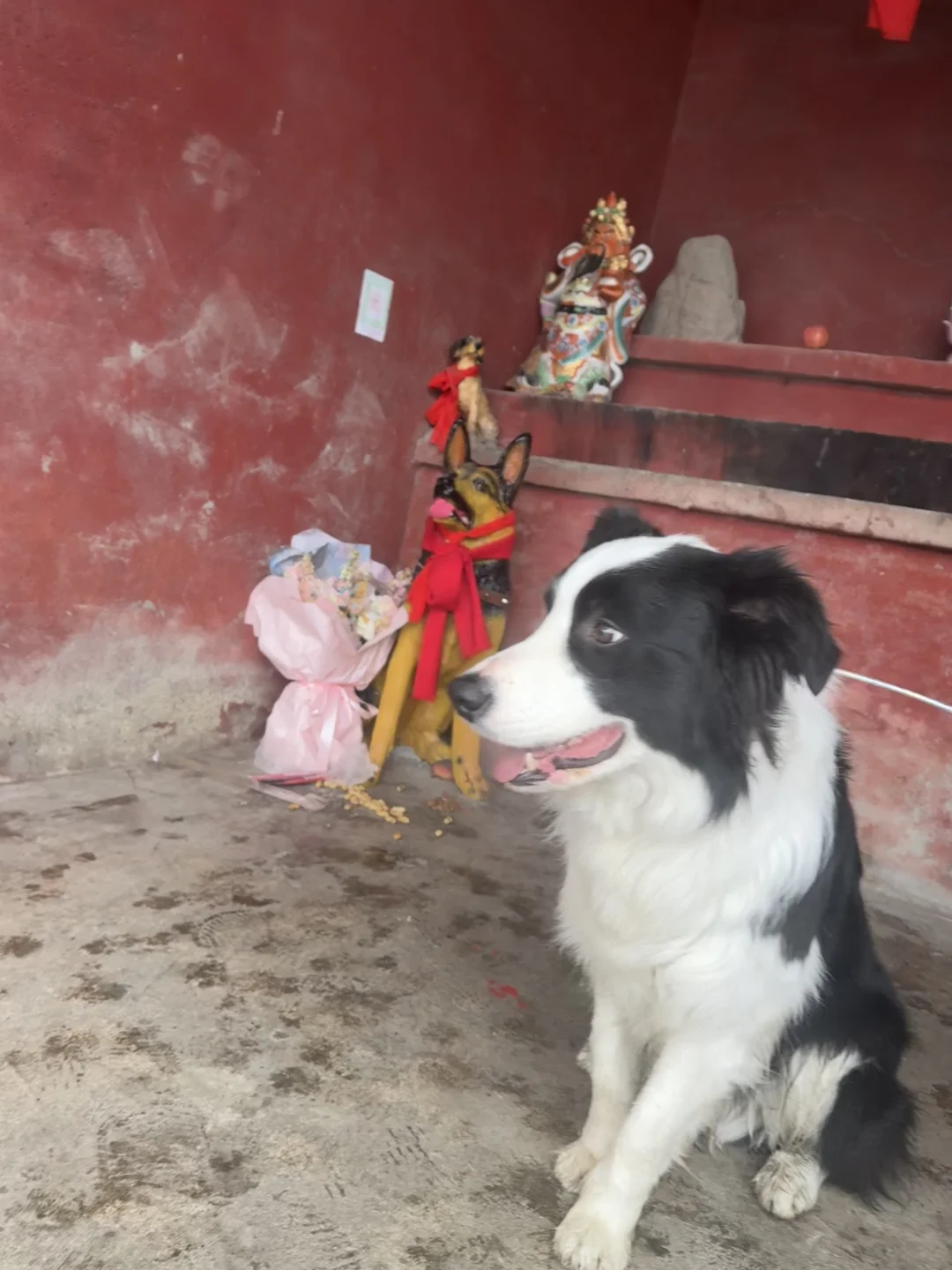 狗狗要拜狗狗神