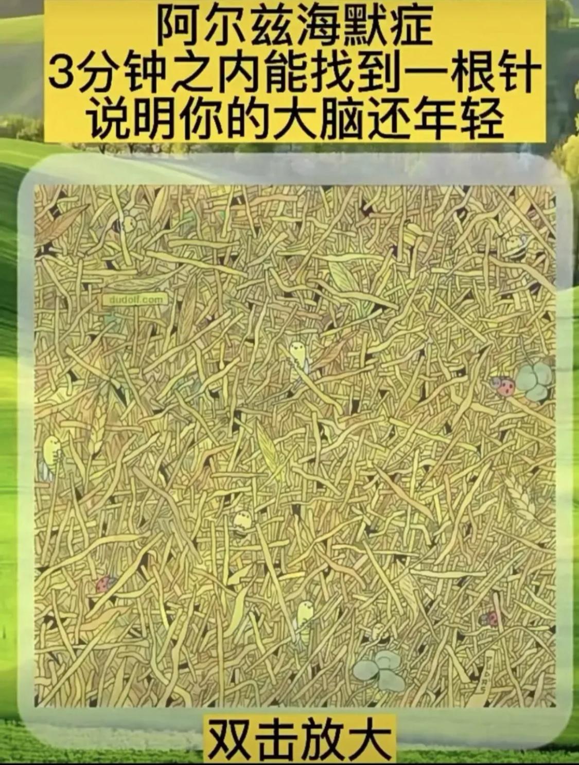 我1分钟不到就找到了，你们花了多久？