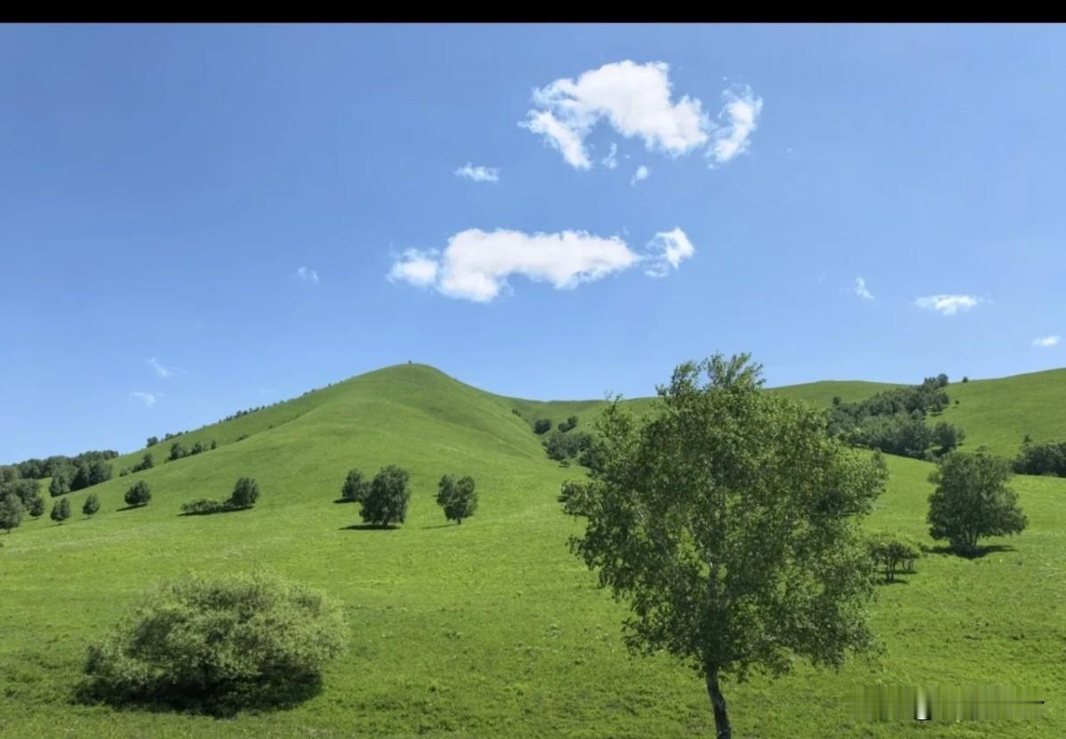老一代人传宗接代的观念根深蒂固！张柏芝为谢家添丁，为谢家开枝散叶。

张柏芝尊老