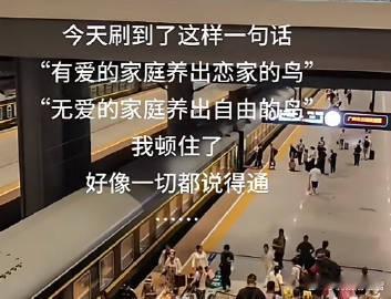 时好时坏的家庭会同时飞出恋家与想逃离的鸟 ​ ​​​