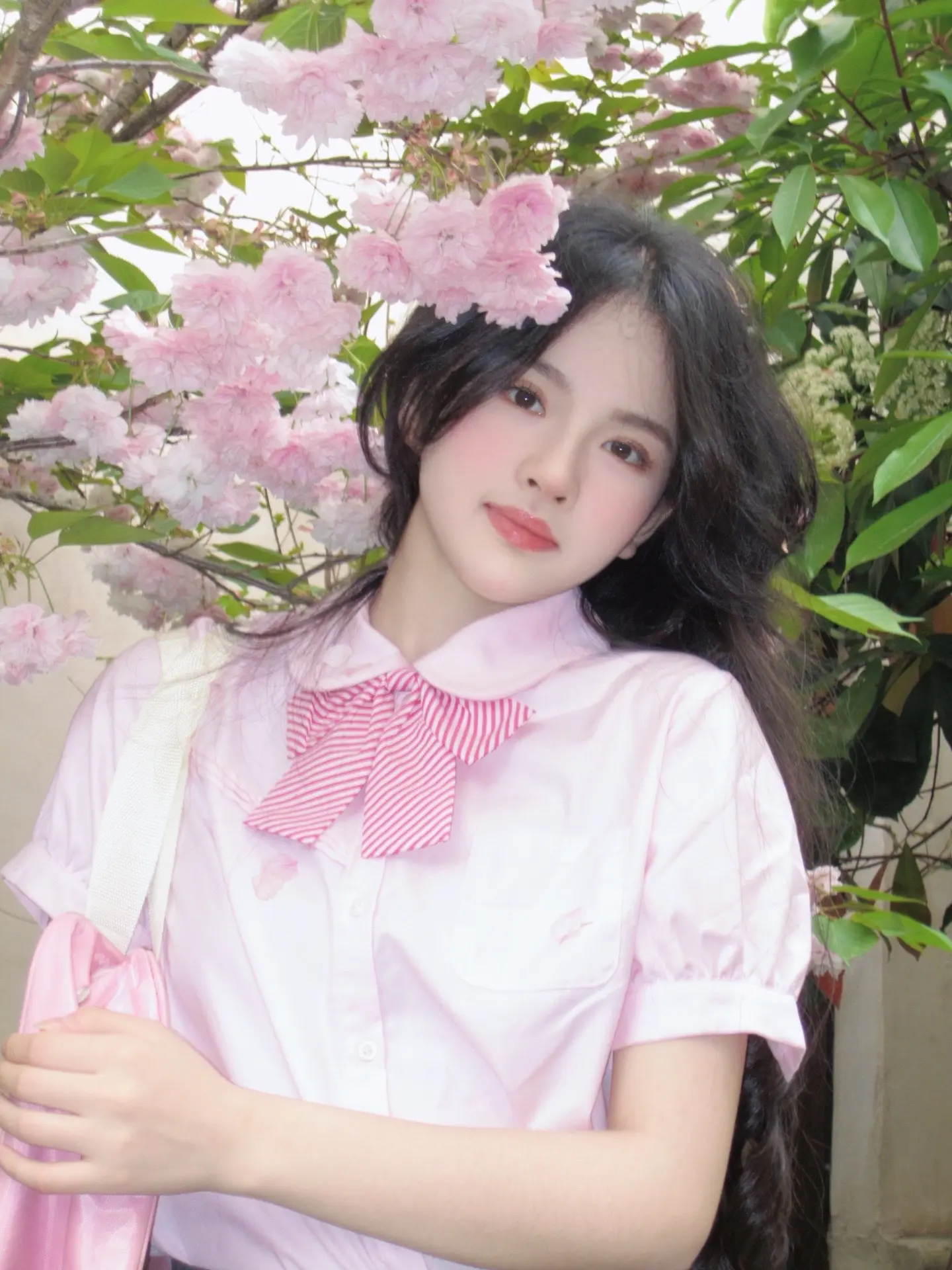 春日限定樱花📷ccd拍照。