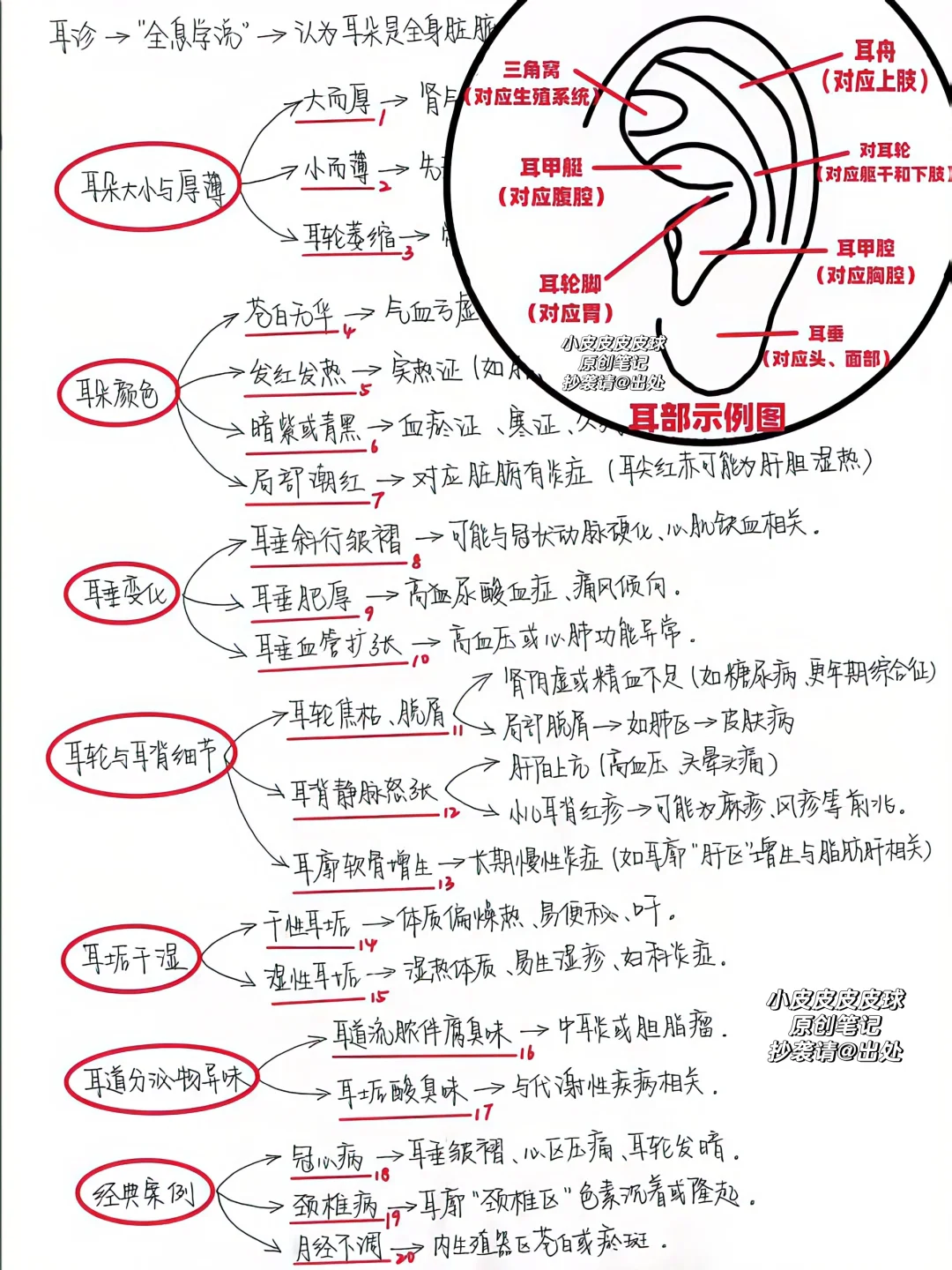 中医是如何通过看耳朵判断健康问题的？