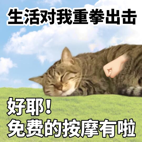 向小猫学习好心态