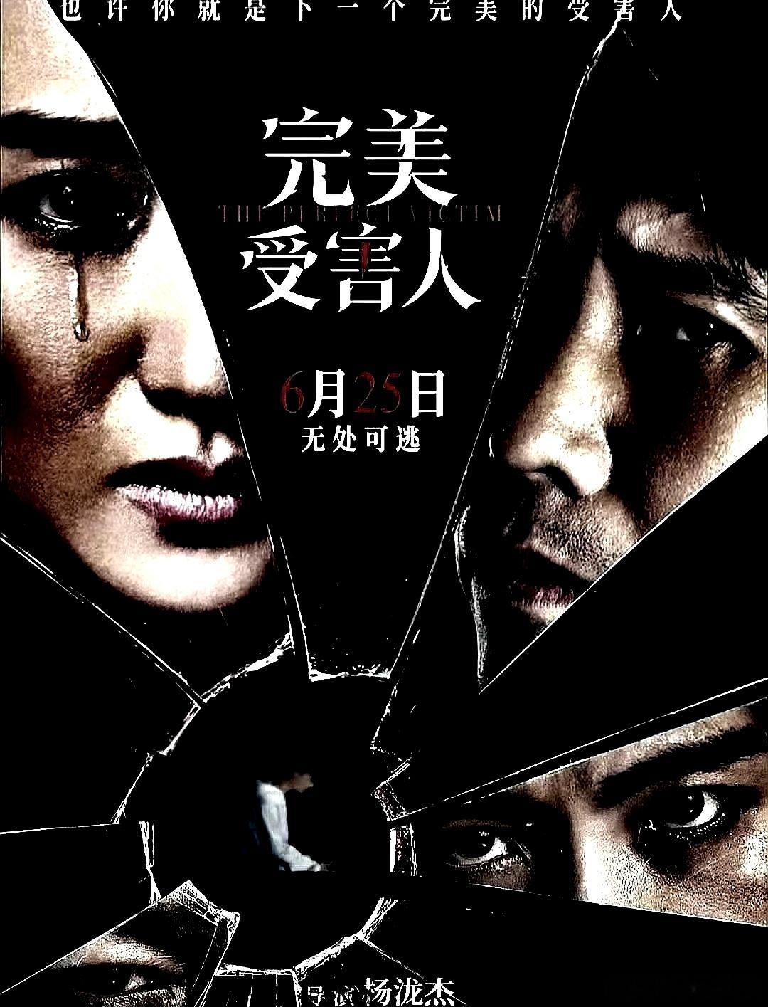 电影海报：李乃文，冯文娟，张峻宁，谭凯，姬他，赵子琪主演《完美受害人》。杨泷杰导