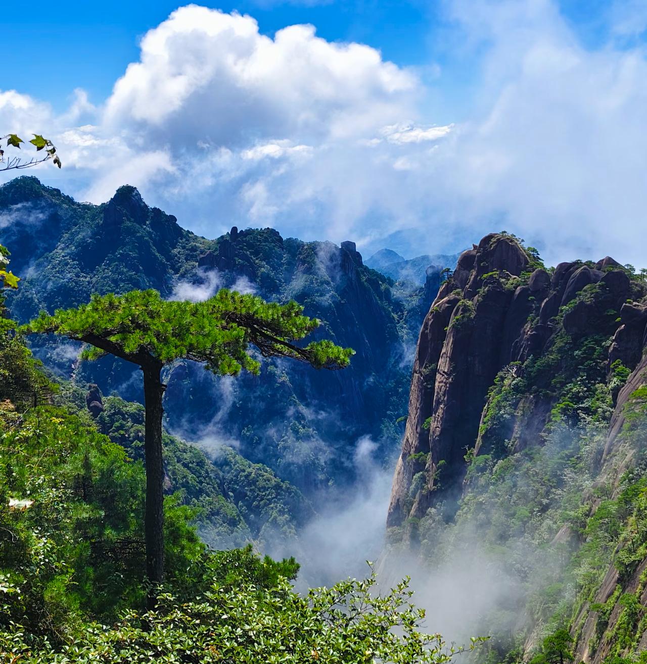 人与人之间，保持一点距离感，不越界是最好的相处方式。与同事之间，不要太亲密，不要