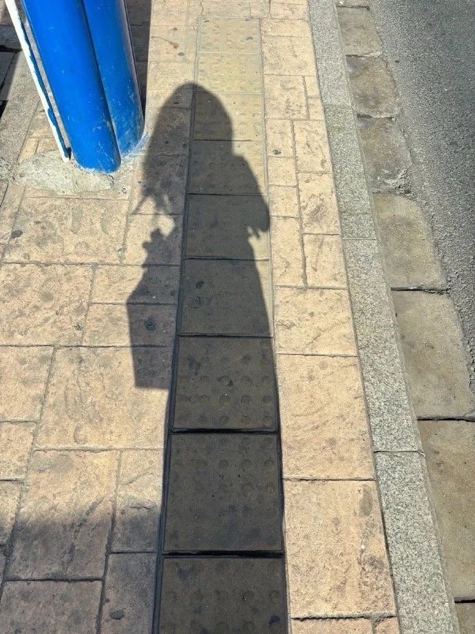 🌵 દ ᵕ̈ ૩𝗛𝗲𝗹𝗹𝗼𝗼𝗼𝗼𝗼“天气不错 出门溜溜 散散