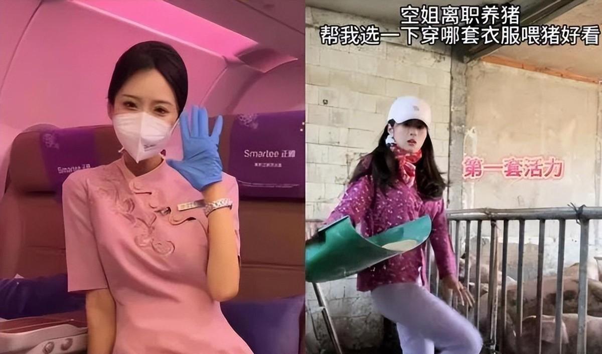 25岁的空姐杨西西辞职后，卖掉了所有奢侈品，跑到鹤岗养猪，竟然一年内就买房买车了