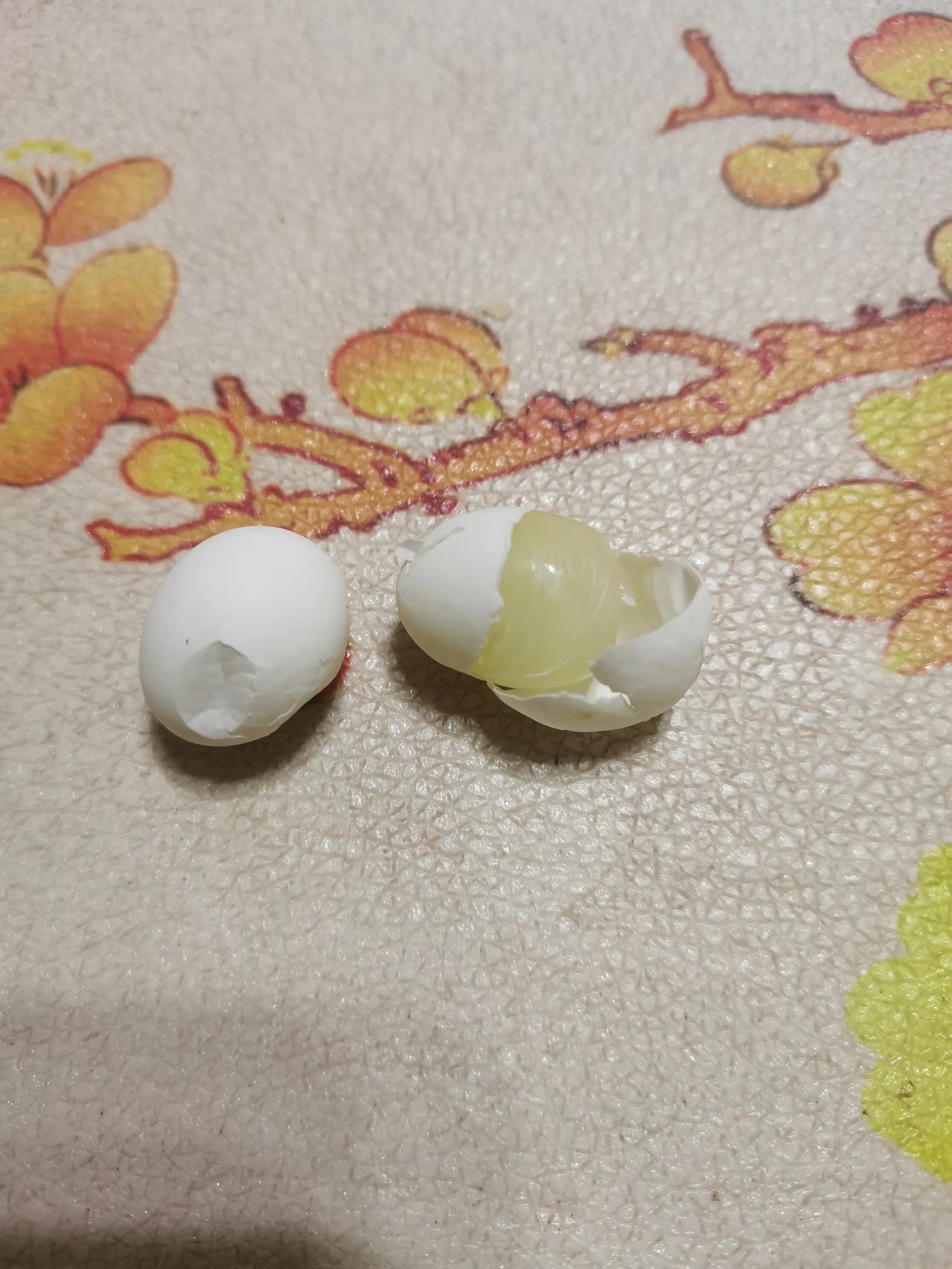 一日三餐人间烟火猜猜这是什么蛋，小巧玲珑。