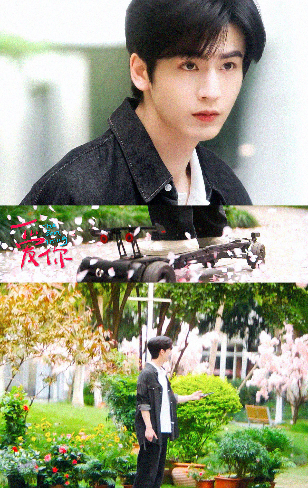 爱你爱奇艺国际版华语剧集top1 恭喜张凌赫爱你获得爱奇艺国际版华语剧集top1