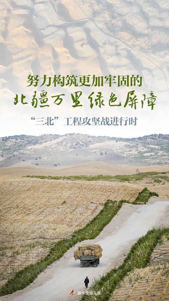 6月11日，据央视新闻直播间报道，自2023年6月“三北”工程攻坚战全面打响以来