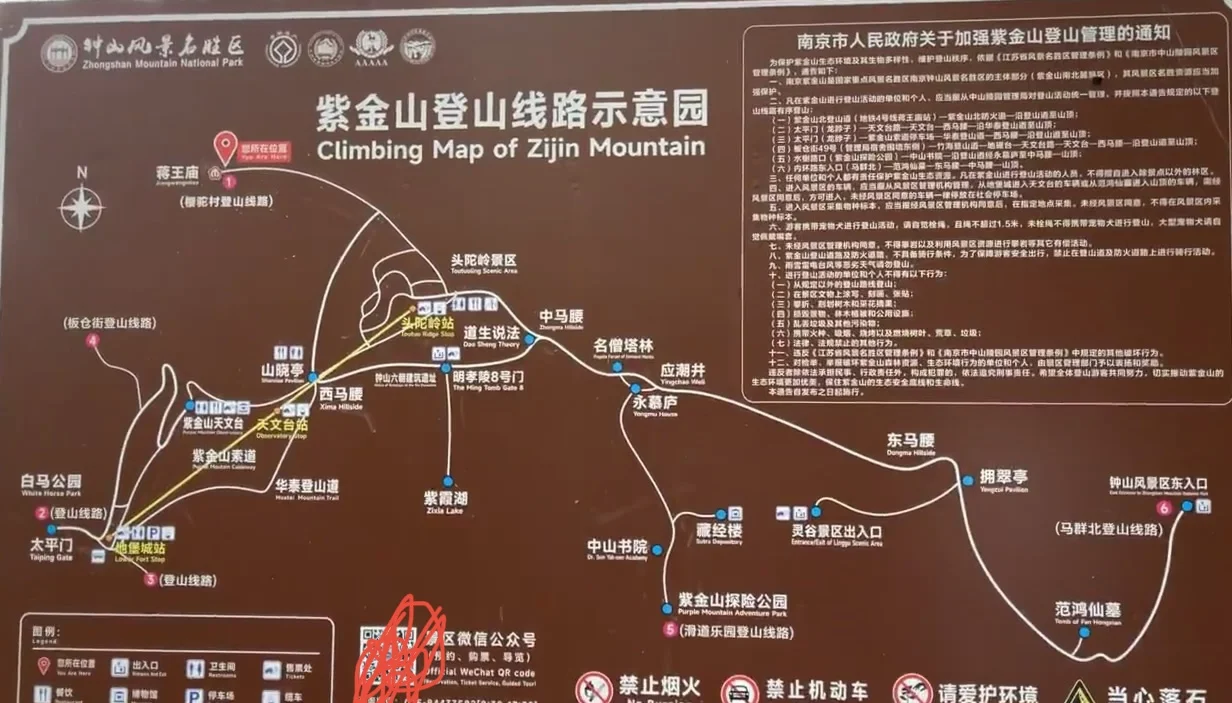 避雷！！！紫金山爬山太累，下次还来！