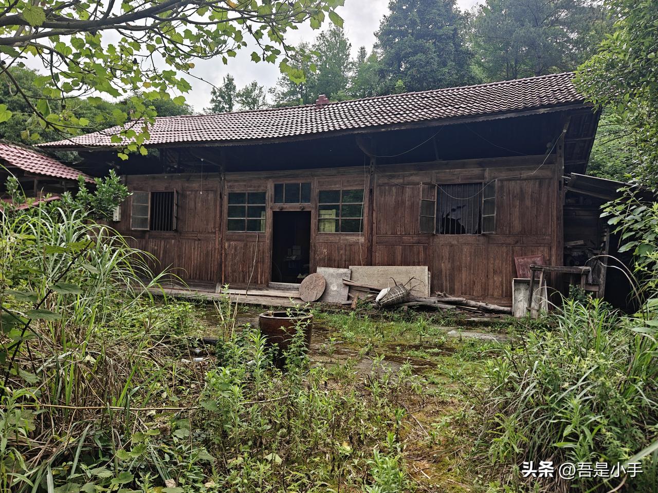 今天学习了一个新的词语 老亩。不是骂人的词语。就是在我的认知里一亩地是666个平