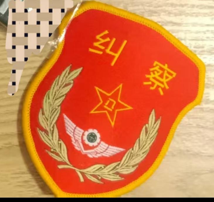 中国人民解放军陆军纠察