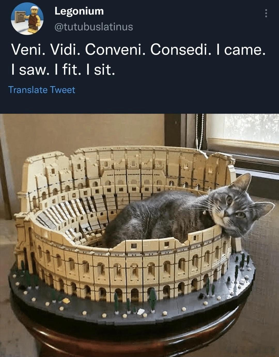 Veni. Vidi. Conveni. Consedi. 猫猫君临罗马[喵喵]