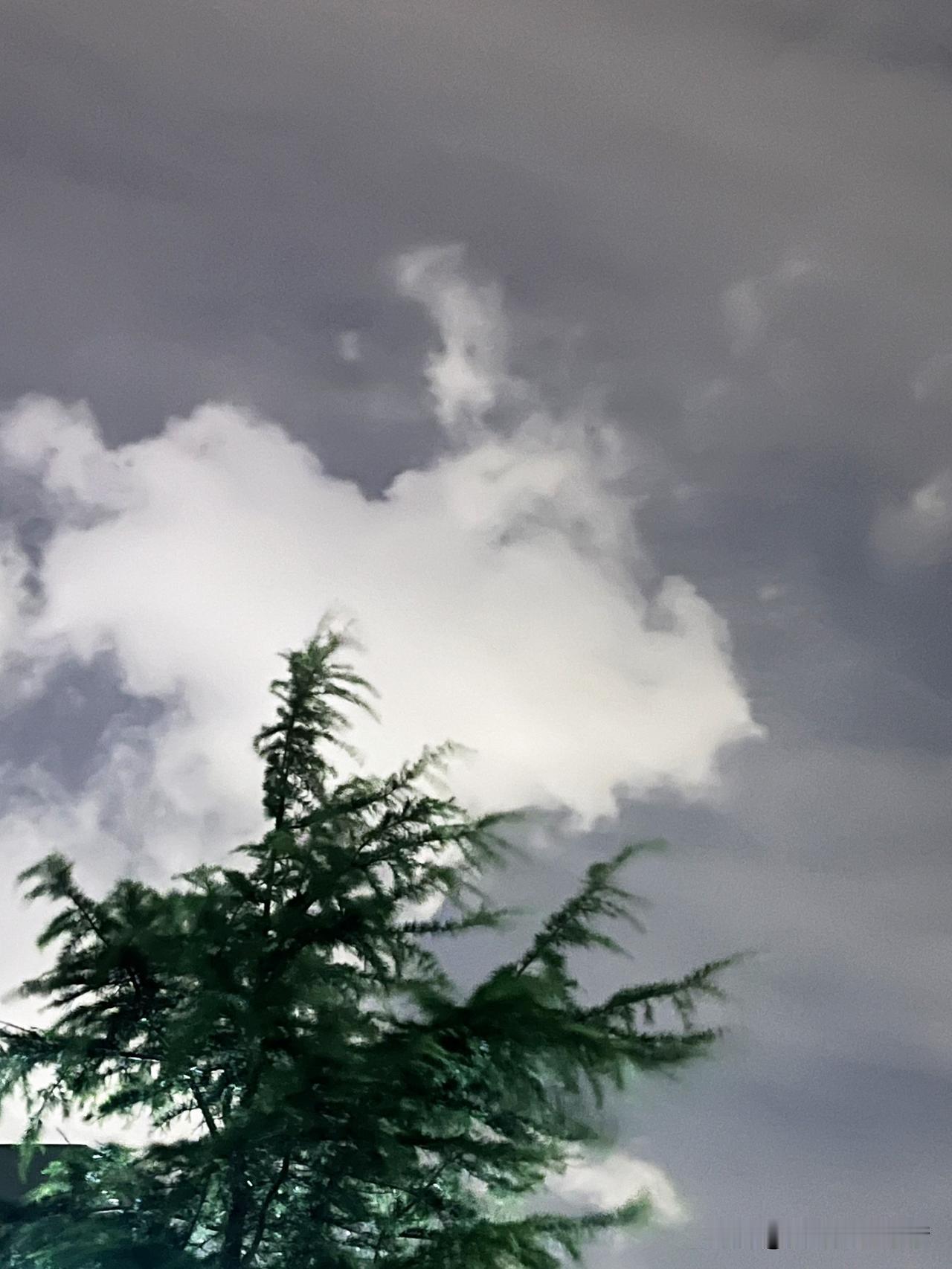 一段非常现实的话：“现在大部分退休人员的现状是：朋友圈不发，电话不响；不参与任何