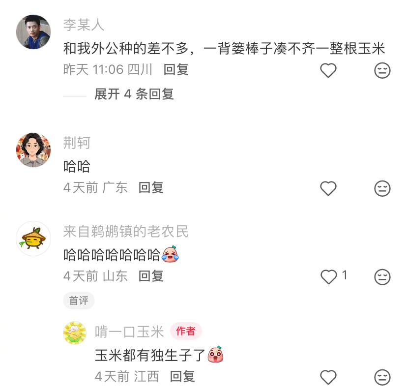 玉米都有独生子了 