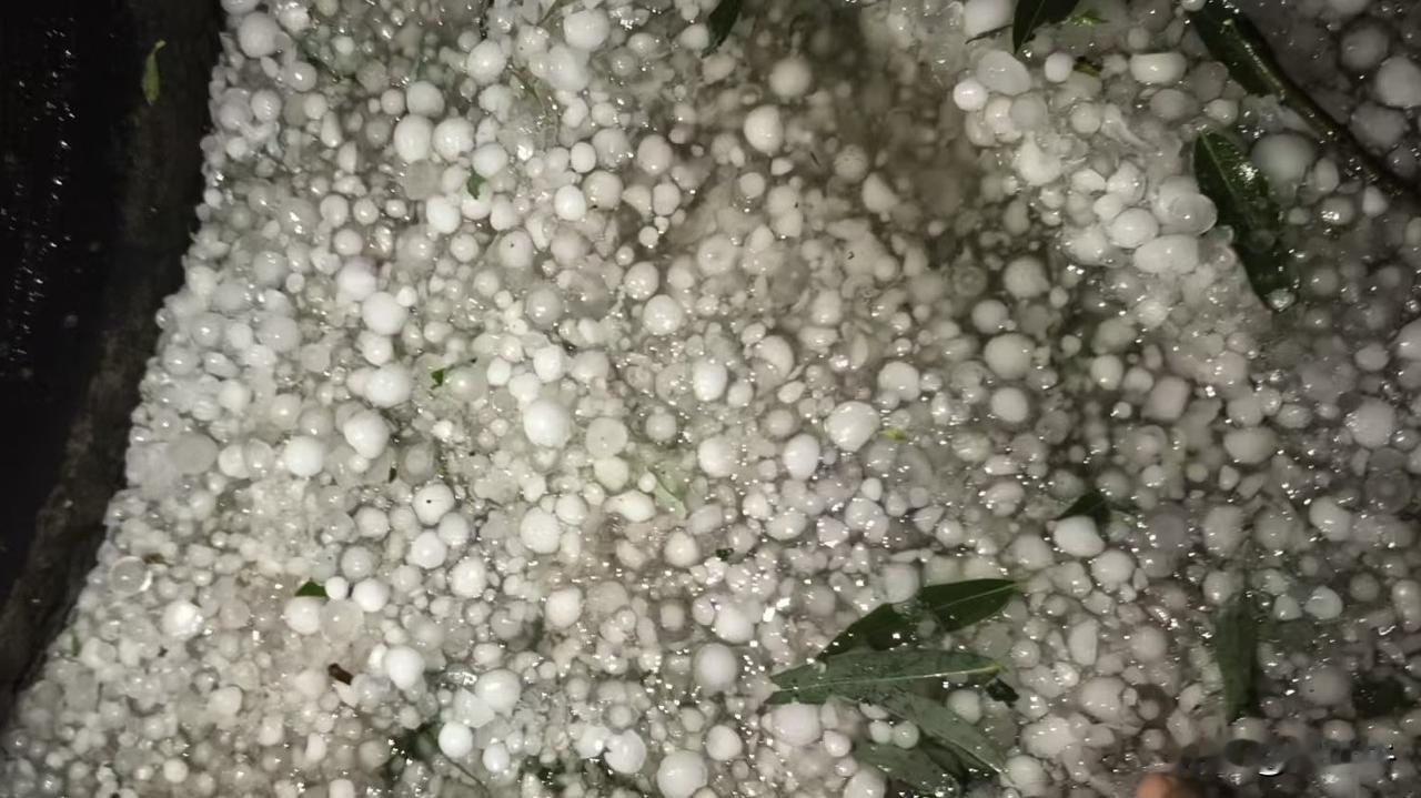 据说，今天的长武和旬邑底庙，是这样的！
今天是2026年6月的最后一天，据说，今