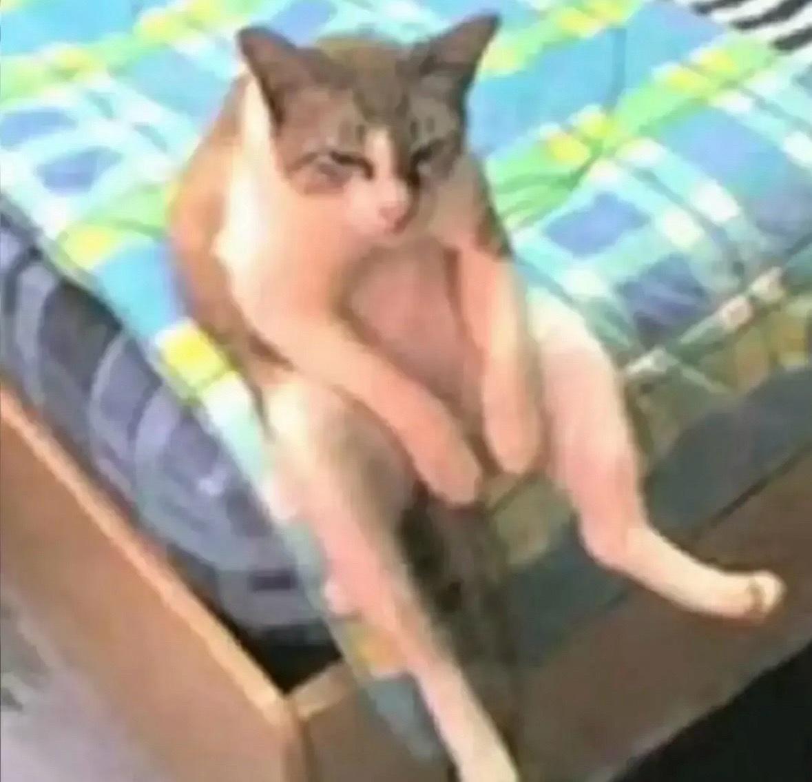 你记住 普通人想要翻身 那数据线一定要买长一点 