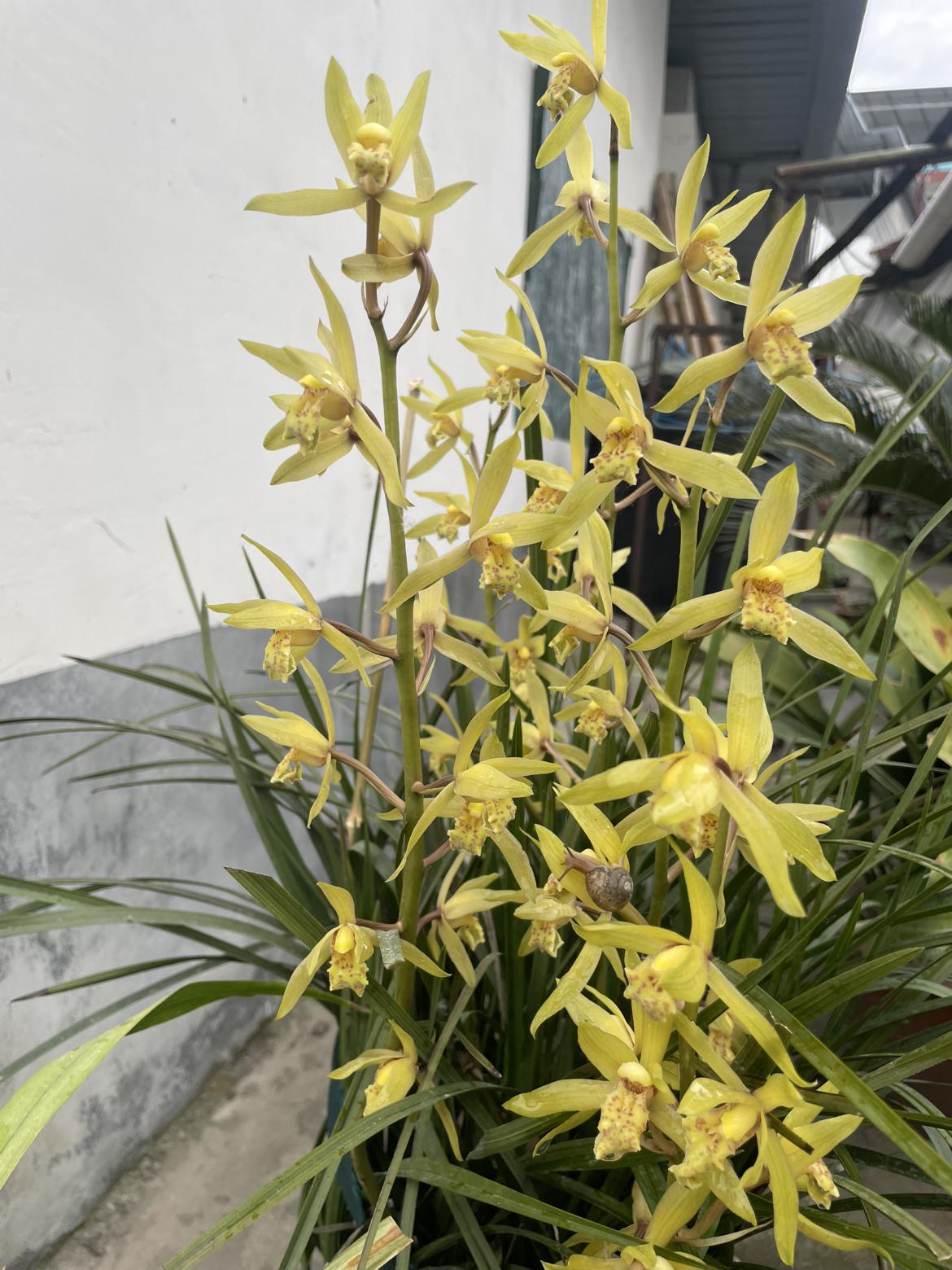 我的今日状态：😁轻松愉快
我这里的天气：🌤️多云

今天是“带定位晒今日生活