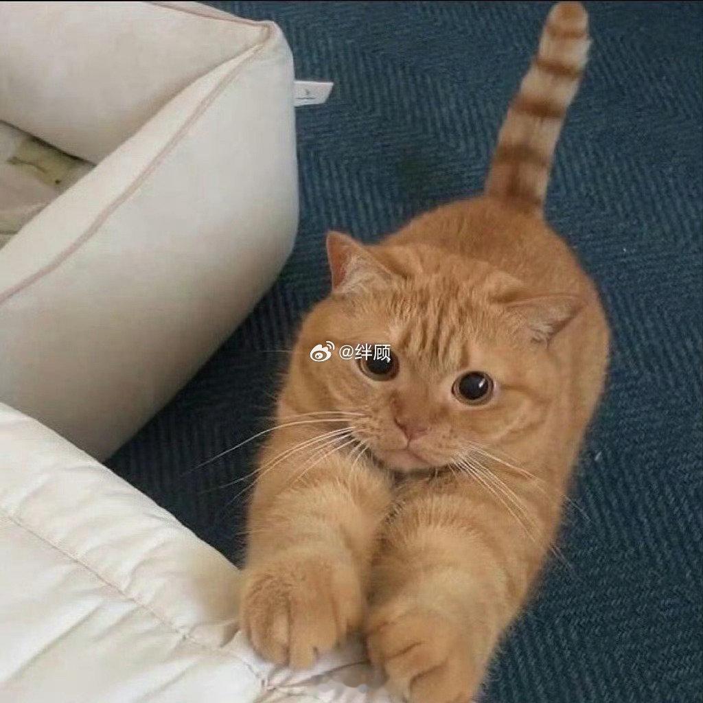 遇见招财猫，七月的你会发财！ ​​​