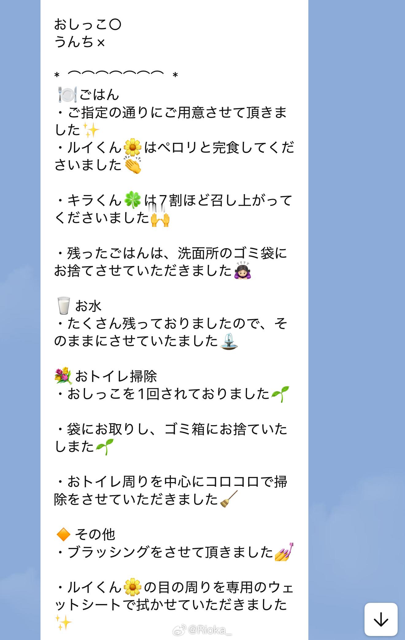 委托了照顾猫猫的staff❣️简单出去旅游几天 