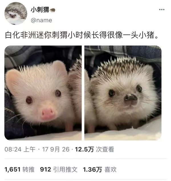 小居 ​​​