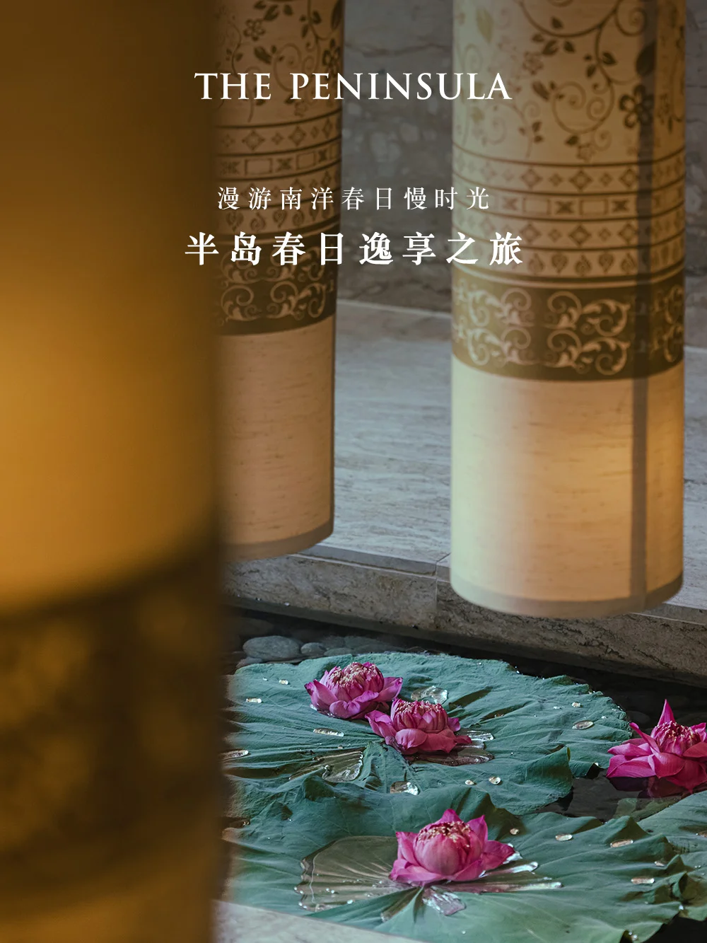 春日地图｜湄南椰影，慢享南洋春光✨