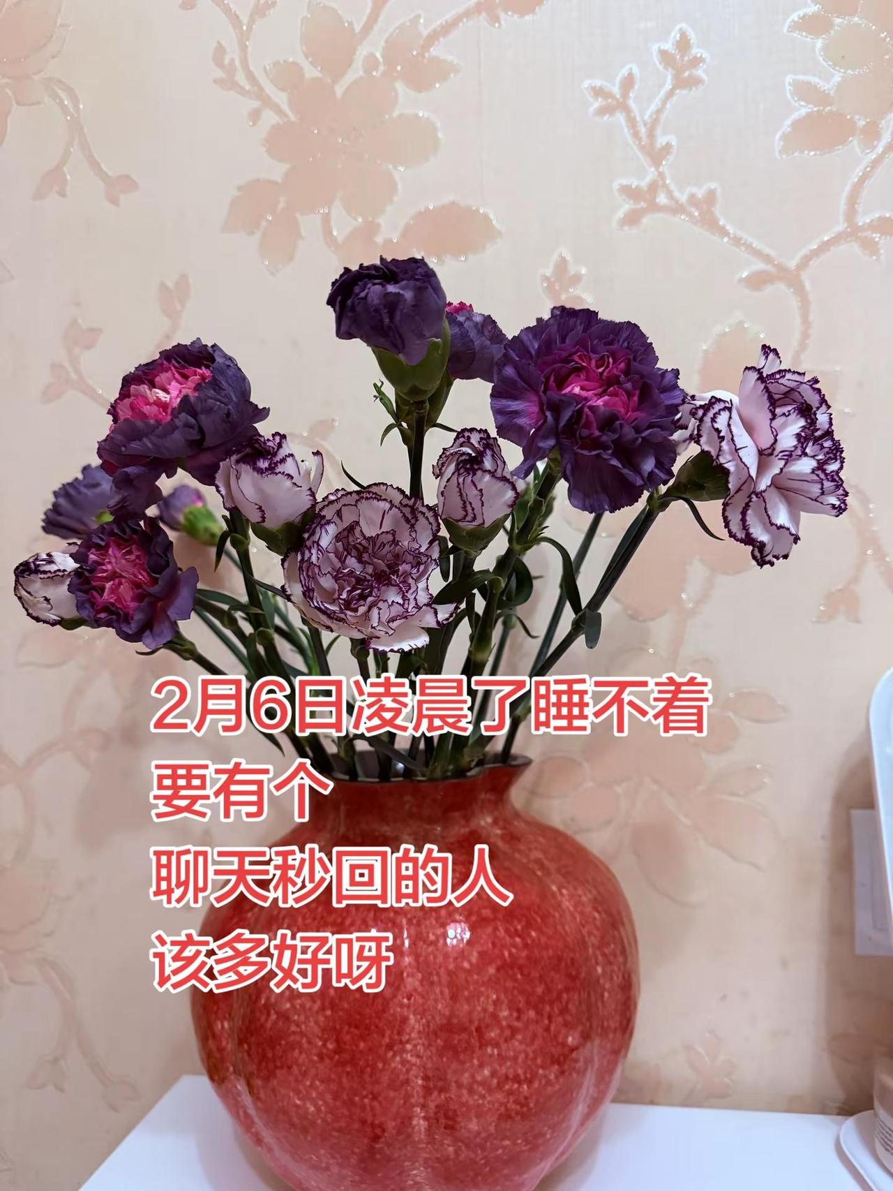 还有没睡的吗？