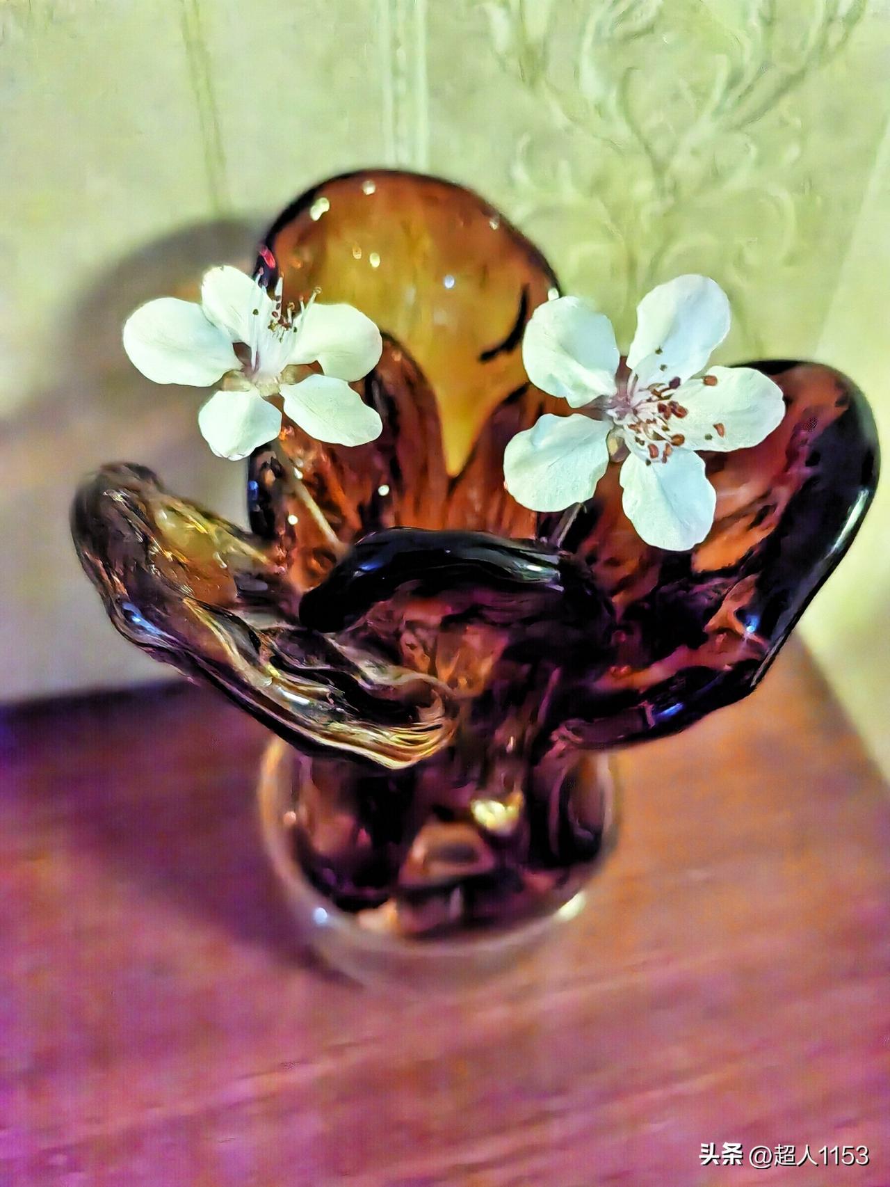 大宝昨晚学美术回家，送给我两小朵花。

她说在美术班外，有几棵树，花盛开了。
