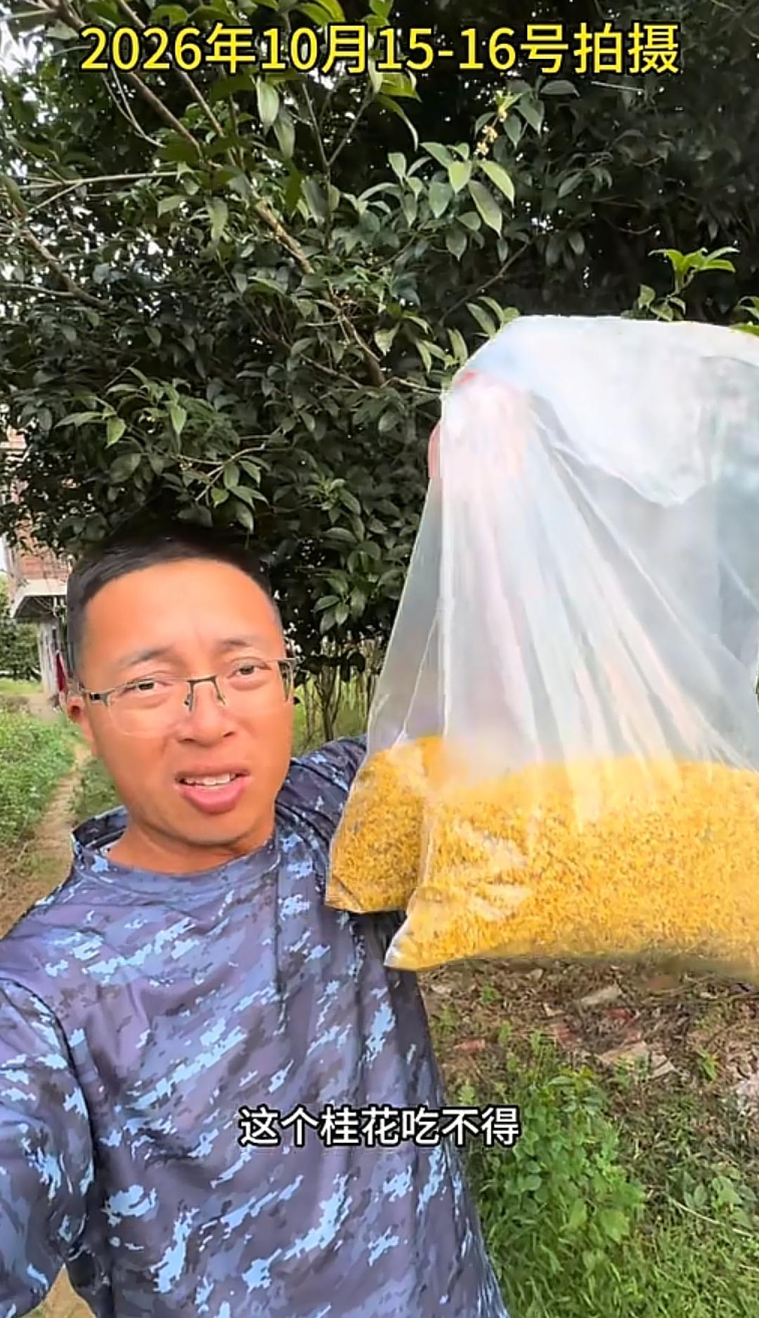 桂林的桂花农户这次天都要塌了，知名环保博主“渔猎齐哥”今天一大早发布了暗访阳朔桂