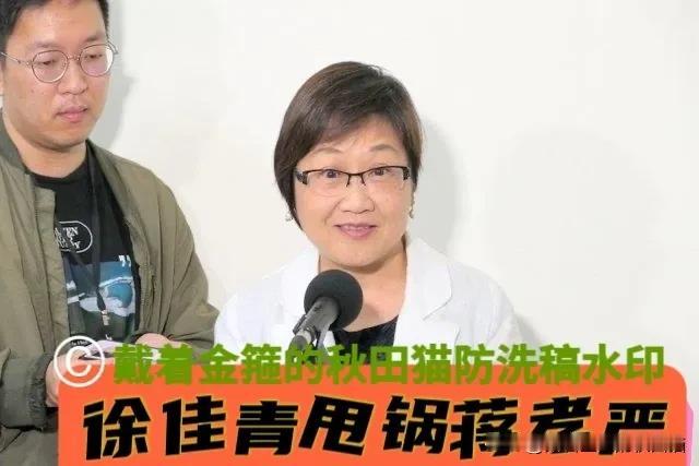 蒋万安人气太高被盯上？
黄伟哲、徐佳青等绿高官这套“组合拳”，背后是新潮流系的影