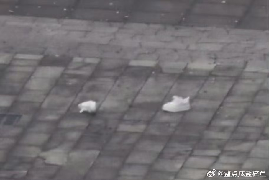 贺峻霖又把鞋跑丢了贺峻霖急需桃花币拯救桃花坞上新人了 可爱又搞笑，谁能拒绝丢鞋还