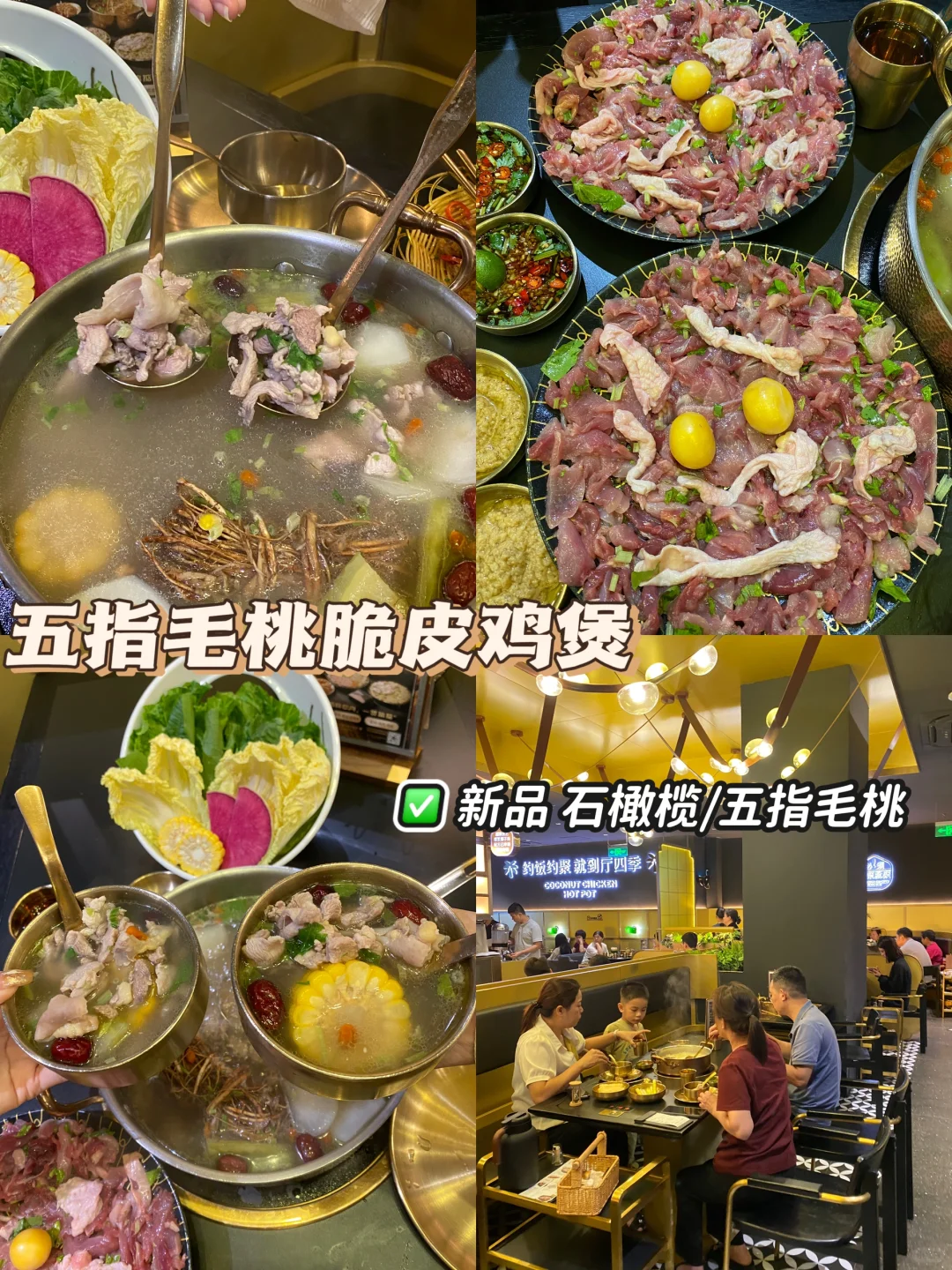 只有懂吃‼️才懂五指毛桃脆皮鸡煲的含金量！