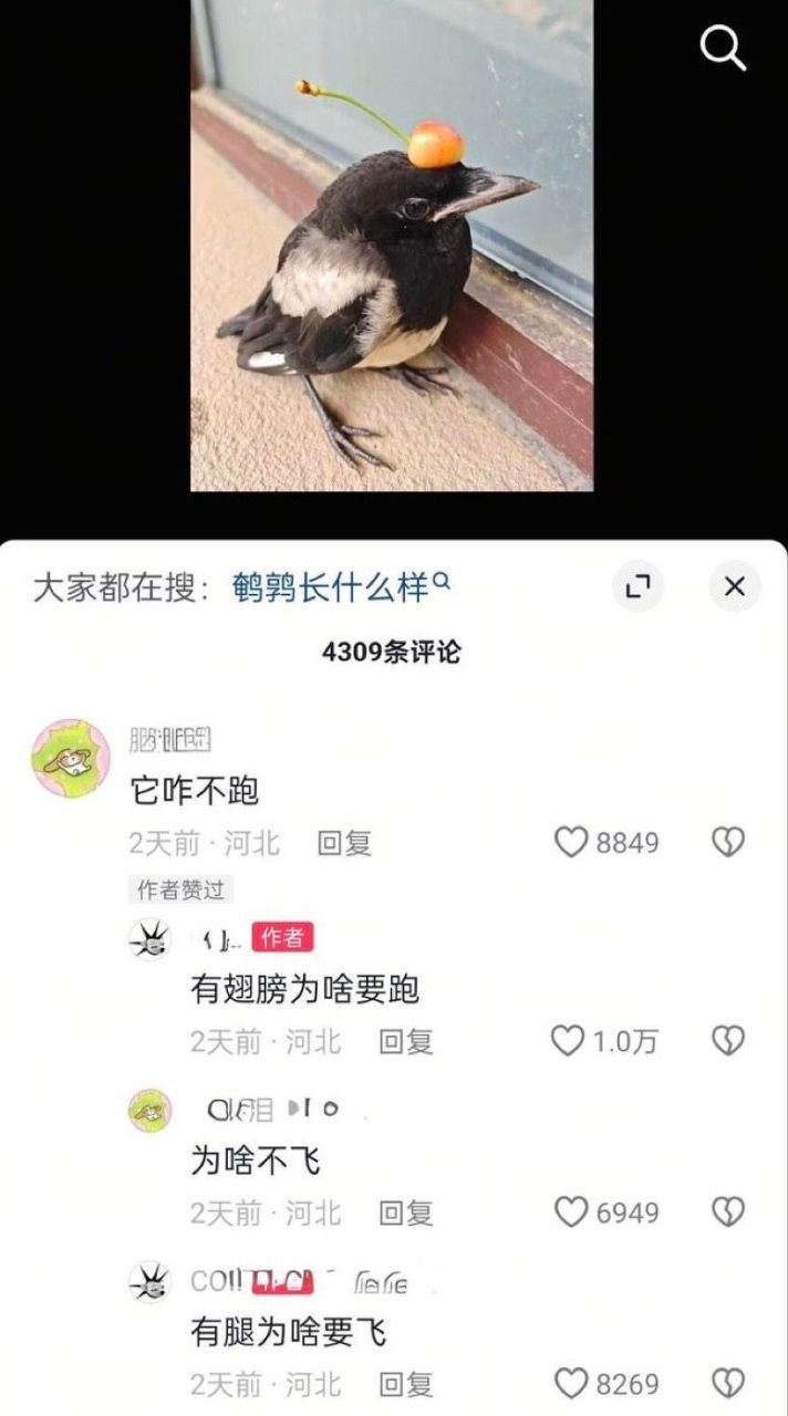 阿巴阿巴