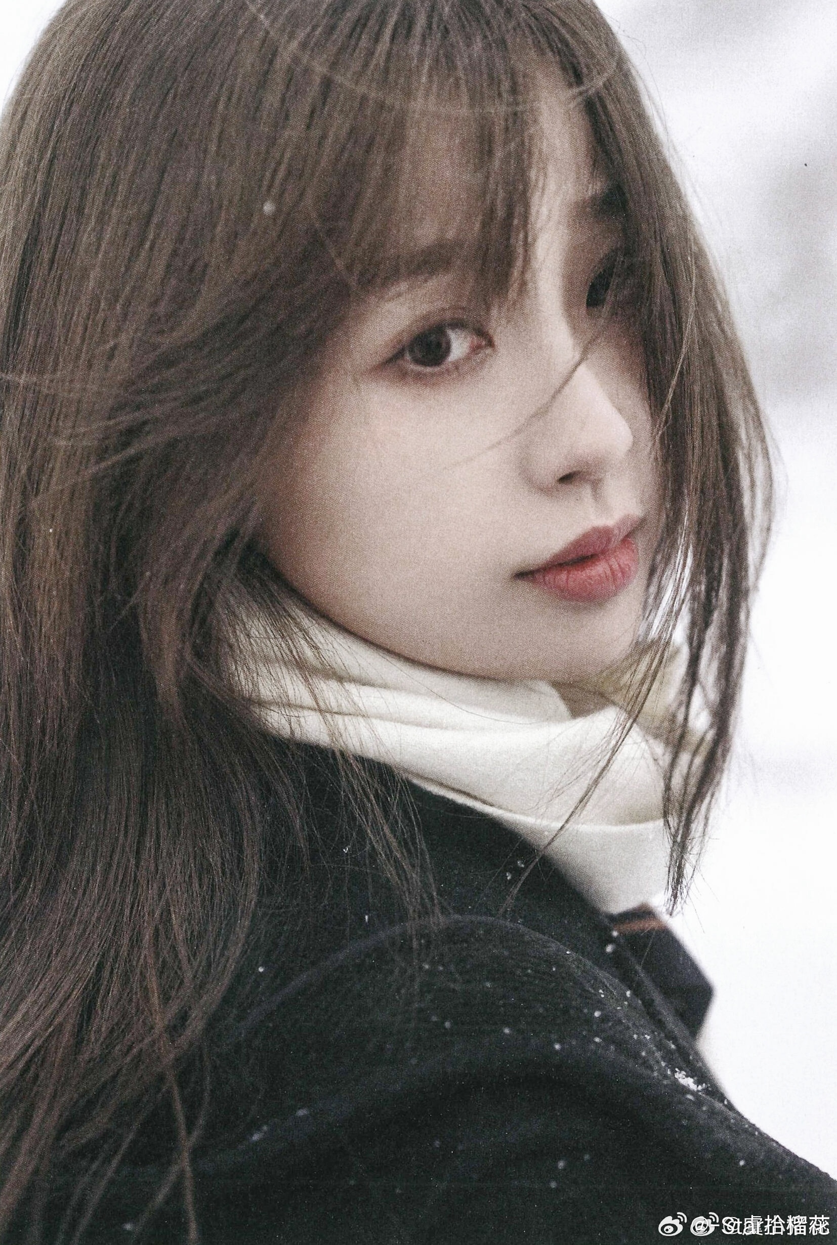 雪地* ​​​