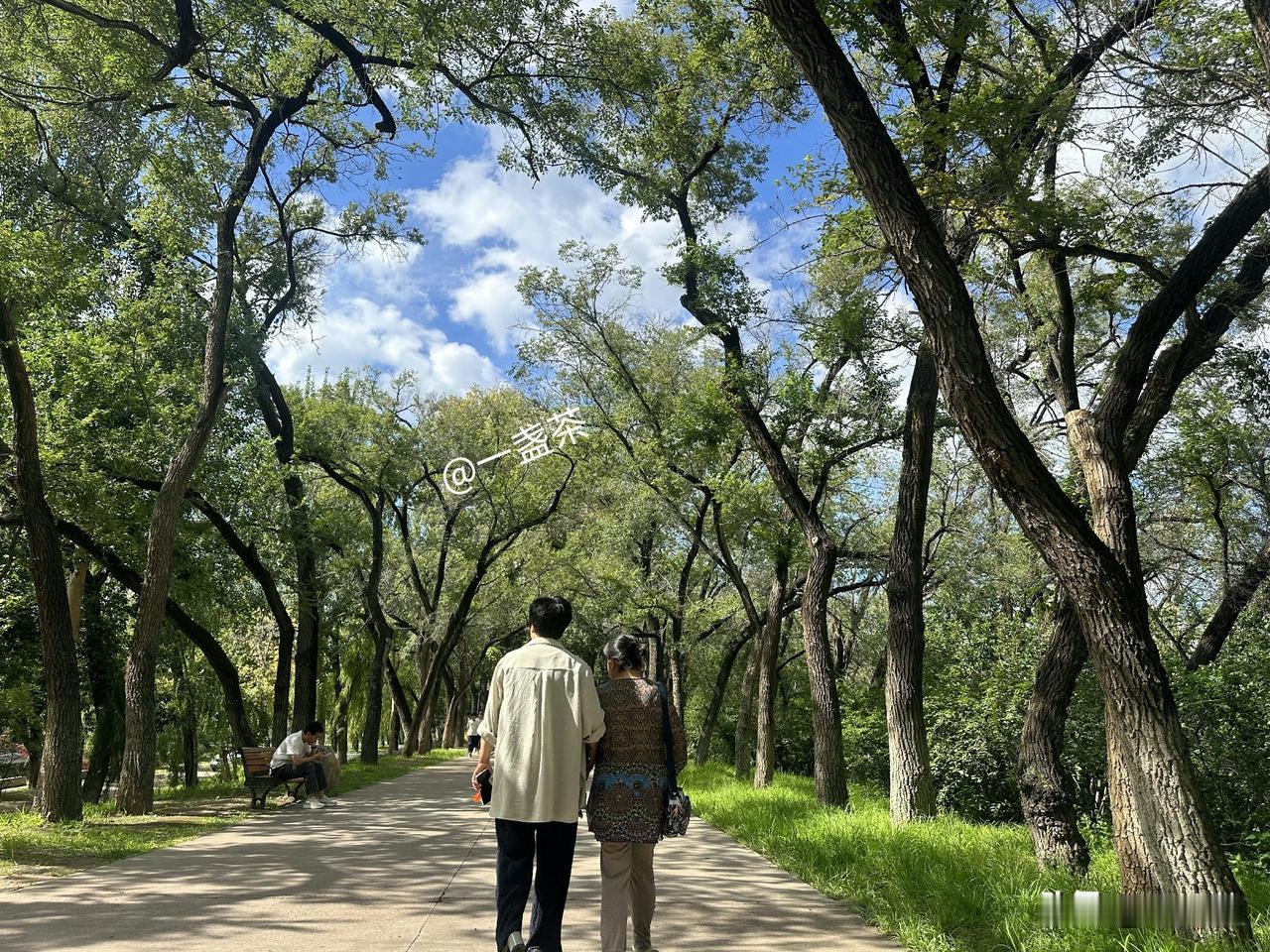 这次出去旅游，最让我感动的是三个孩子，他们这一路不是这个领着，就是那个扶着，一步