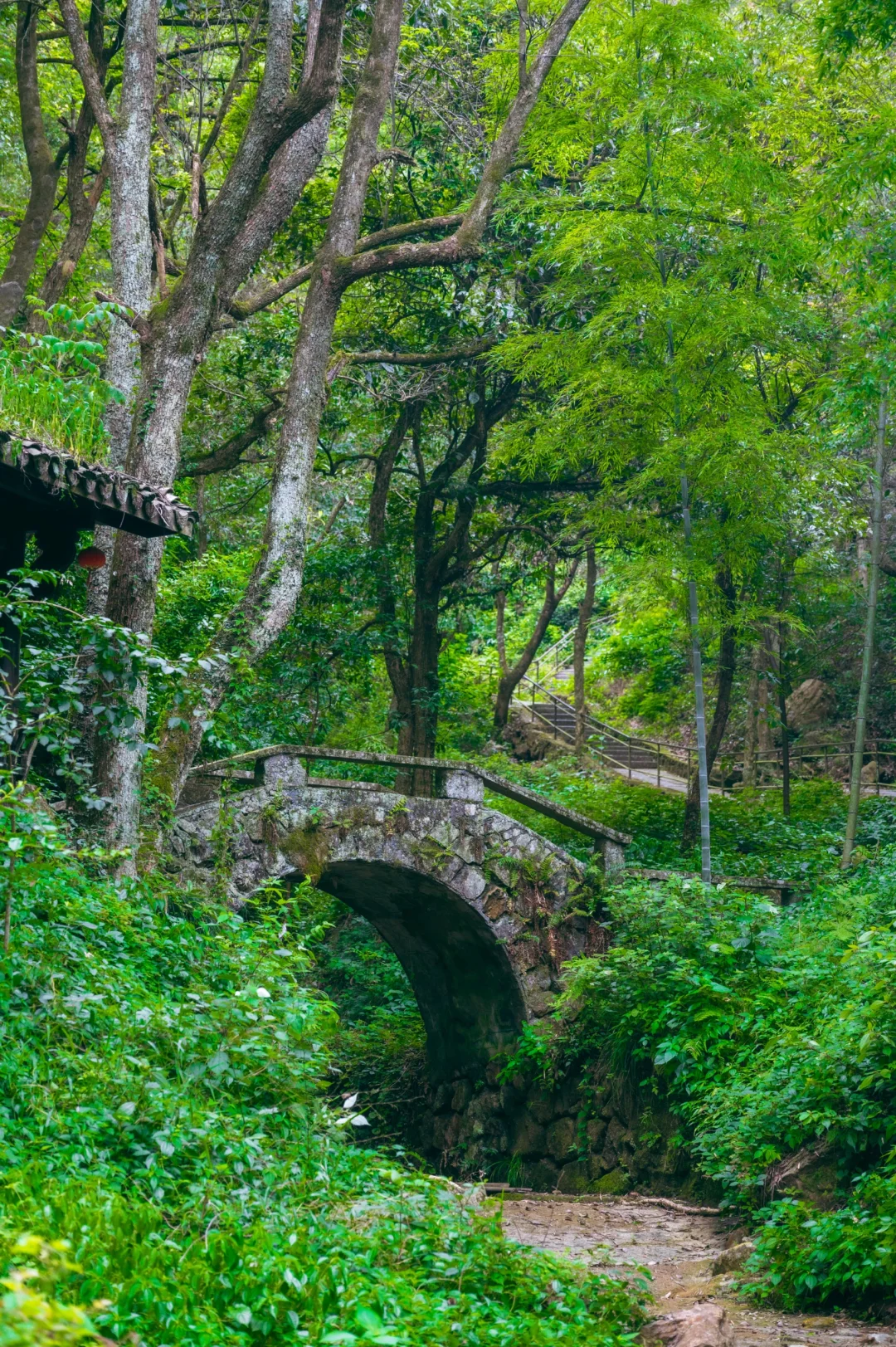夏日就是要去阴凉的地方玩耍❗