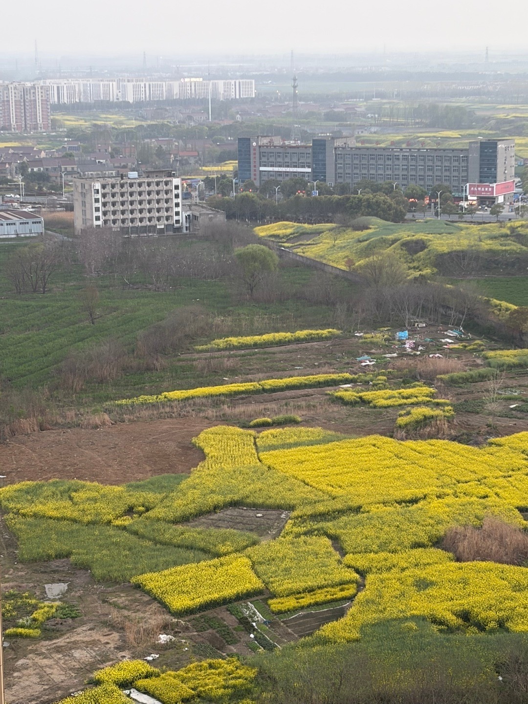 过年的时候，从阳台上看出去的一片田里的枯草烧了个遍，还遮天蔽日的，当时心想这是多